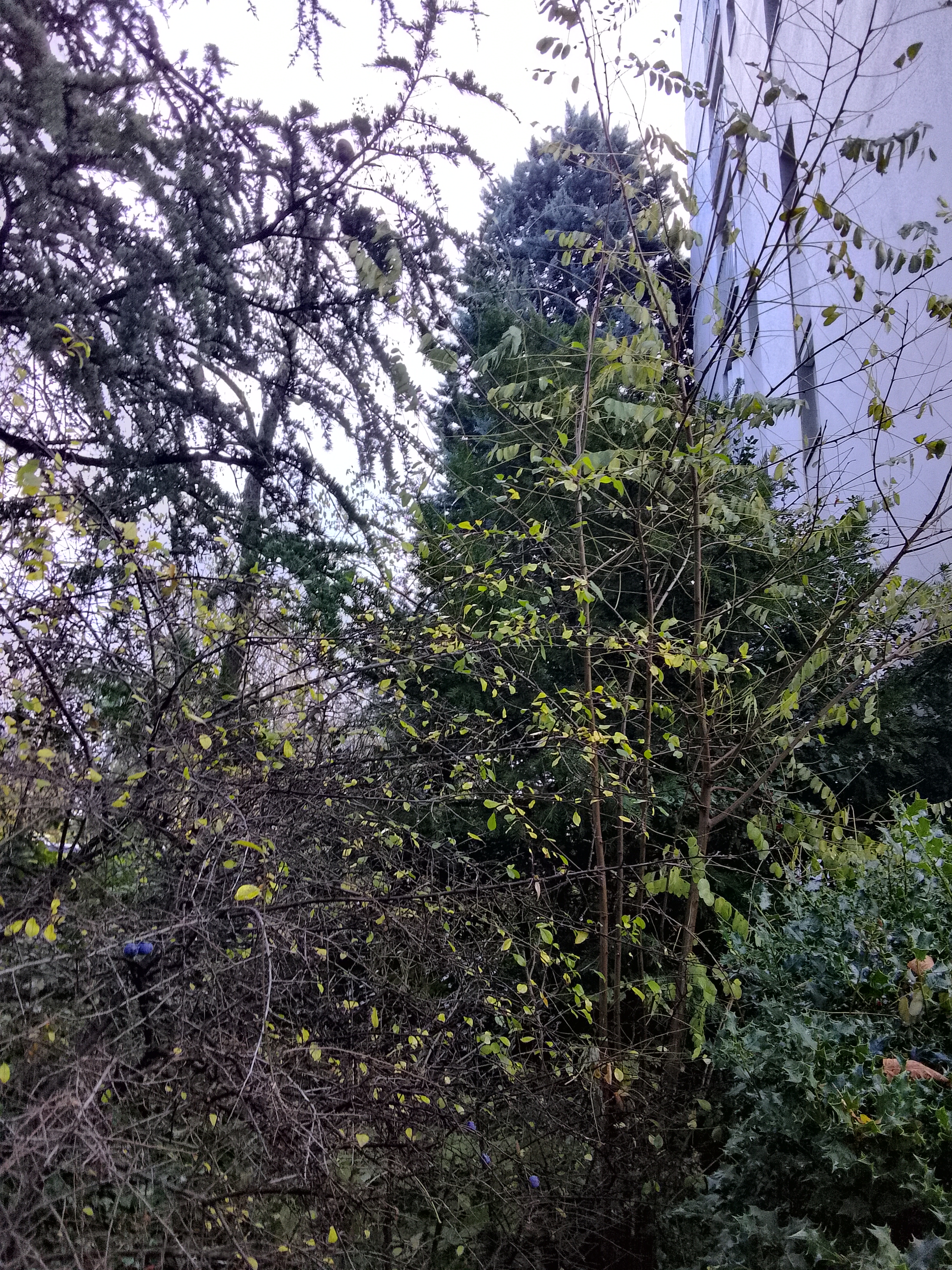 Photo n° 15 de l'avis de Lyson.m fait le 28/11/2023 à 11:34