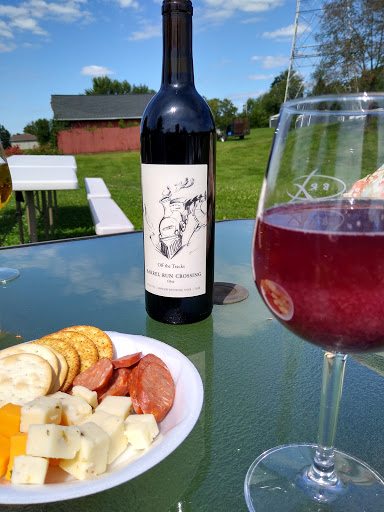 Vineyard «Barrel Run Crossing Winery and Vineyard», reviews and photos, 3272 Industry Rd, Rootstown, OH 44272, USA