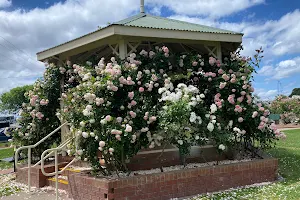 Morwell Centenary Rose Garden image