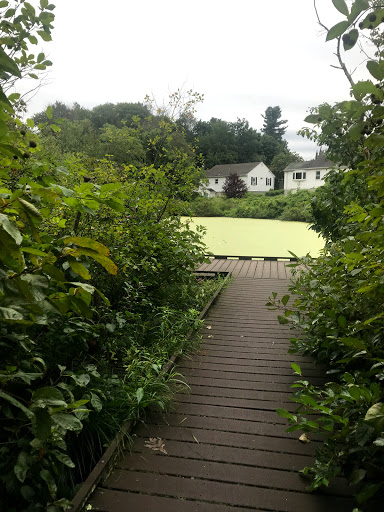 Nature Preserve «Dolan Pond Conservation Area», reviews and photos, Webster Park, West Newton, MA 02465, USA