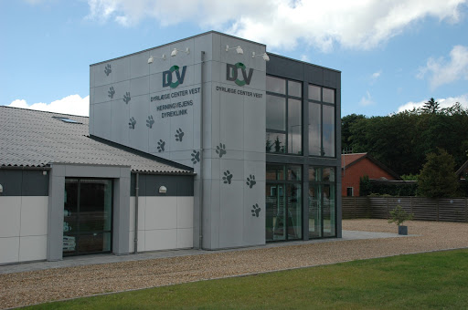 Veterinarian Center West Ringkøbing in Ringkobing, Ringkøbing-Skjern