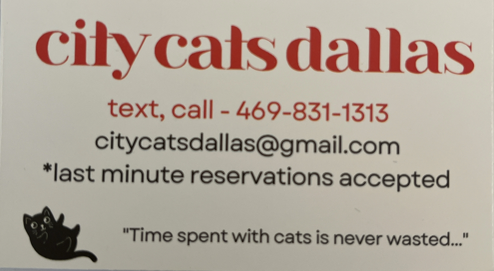 City Cats Dallas