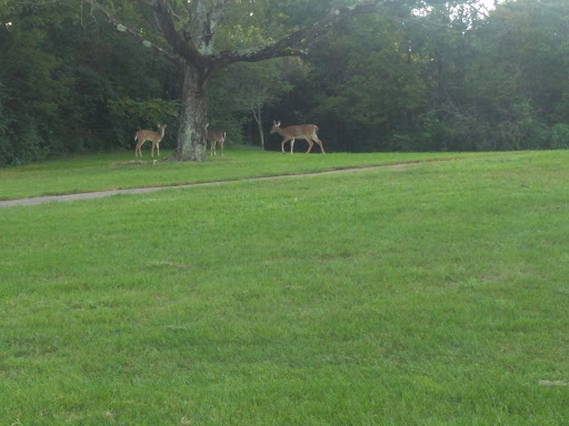 Golf Club «Wildwood Golf Club», reviews and photos, 601 Aberdeen Dr, Middletown, OH 45042, USA