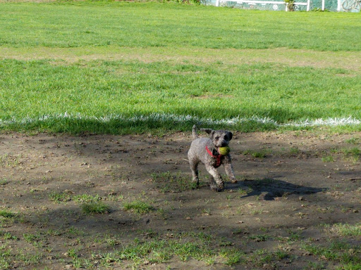 Park «Dorchester Park», reviews and photos, 2180 Dorchester Ave, Dorchester, MA 02124, USA