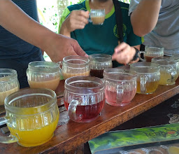 teba sari, kopi photo