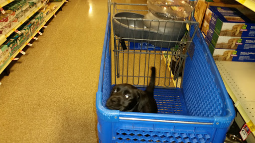 Pet Supply Store «PetSmart», reviews and photos, 1417 W Interstate 240 Service Rd, Oklahoma City, OK 73159, USA