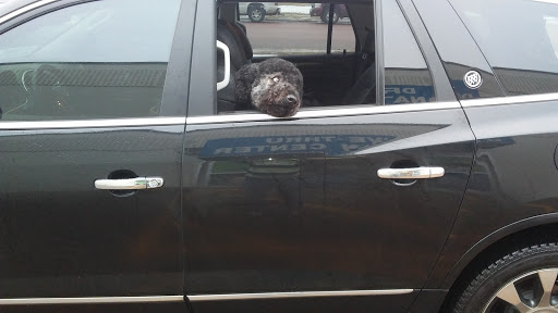 Non-Profit Organization «Goodwill of the Great Plains», reviews and photos