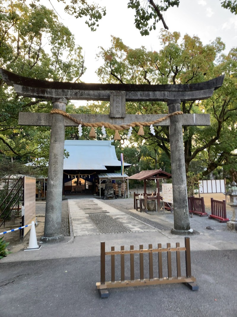 諫早神社のクス群