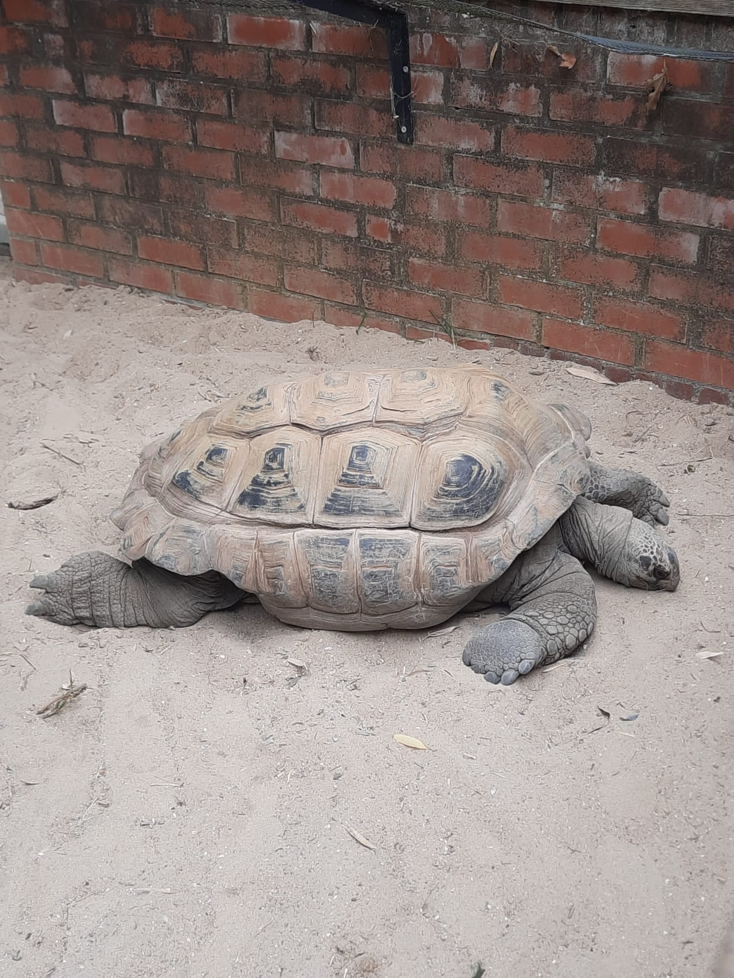 Photo n° 6 de l'avis de Sylvie. fait le 20/08/2023 à 06:35