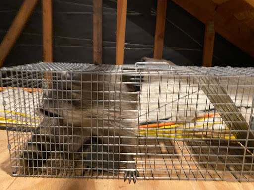 12402 SE 38th St, Bellevue, WA 98006, USA