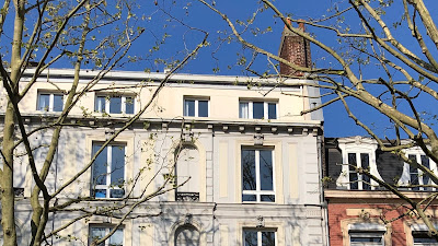 Dr Sophie SEMAL-MICHEL à Lille