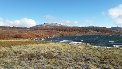 Reserva Nacional Lago Carlota