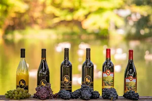 Vina Castellano Winery image
