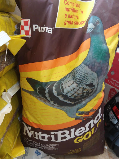 Home Improvement Store «Tractor Supply Co.», reviews and photos, 6922 FL-77, Southport, FL 32409, USA