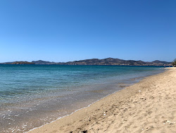 Voutakos beach'in fotoğrafı geniş bir kıyı şeridi ile birlikte