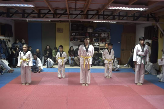 Opiniones de Taekwondo Cobras Quellón en Quellón - Gimnasio
