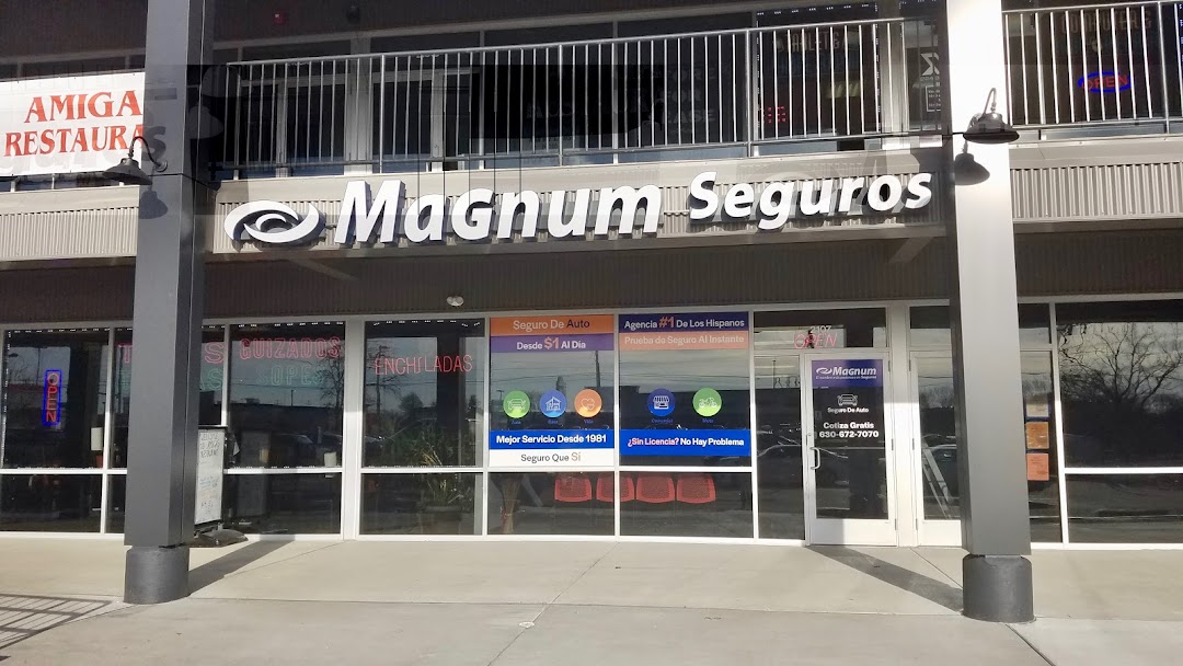 Magnum Insurance Agency In The City Glendale Heights