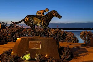 Black Caviar Statue image