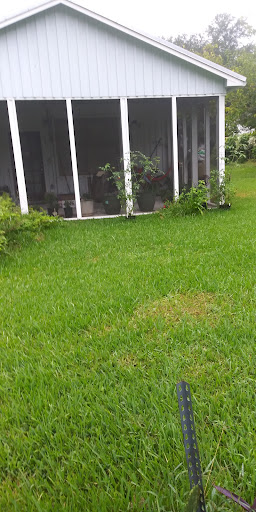 National Forest «Francis Marion National Forest», reviews and photos, 2967 Steed Creek Rd, Huger, SC 29450, USA