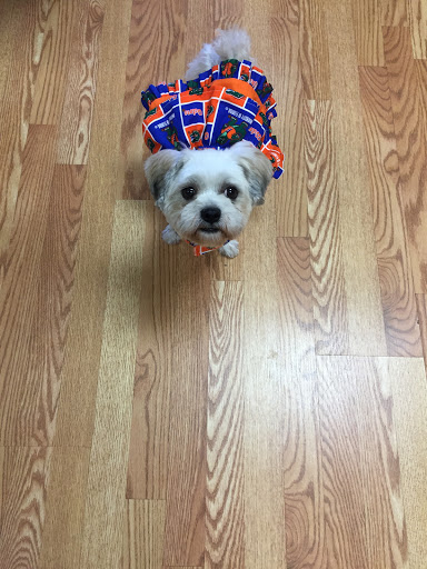 Pet Supply Store «Pawsitively Healthy Pet Supply», reviews and photos, 5238 FL-64, Bradenton, FL 34208, USA