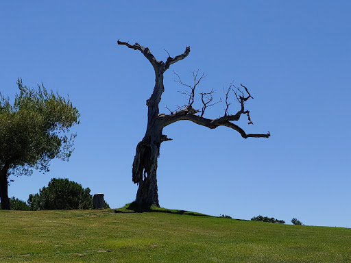 Golf Course «Chalk Mountain Golf Course», reviews and photos, 10000 El Bordo Ave, Atascadero, CA 93422, USA