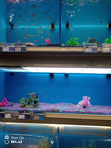 Pet Supply Store «PetSmart», reviews and photos, 1591 Bradley Park Dr, Columbus, GA 31904, USA