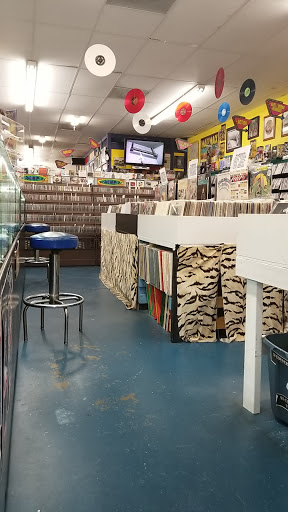Music Store «Kilgor Trouts», reviews and photos, 706 8th Ave N, Myrtle Beach, SC 29577, USA