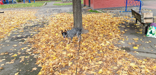 Park «Wallace City Park», reviews and photos, 1600 NW 25th Ave, Portland, OR 97210, USA