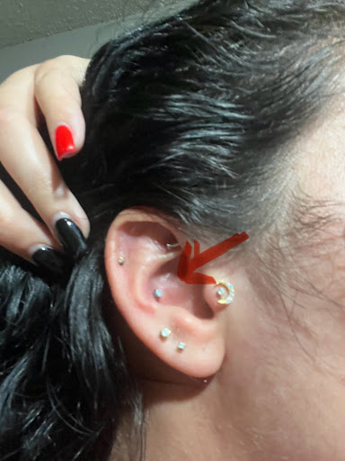 Explore tattoo ideas for arm, creative tattoo ideas in San Diego, available at Sideshow Tattoo and Piercing