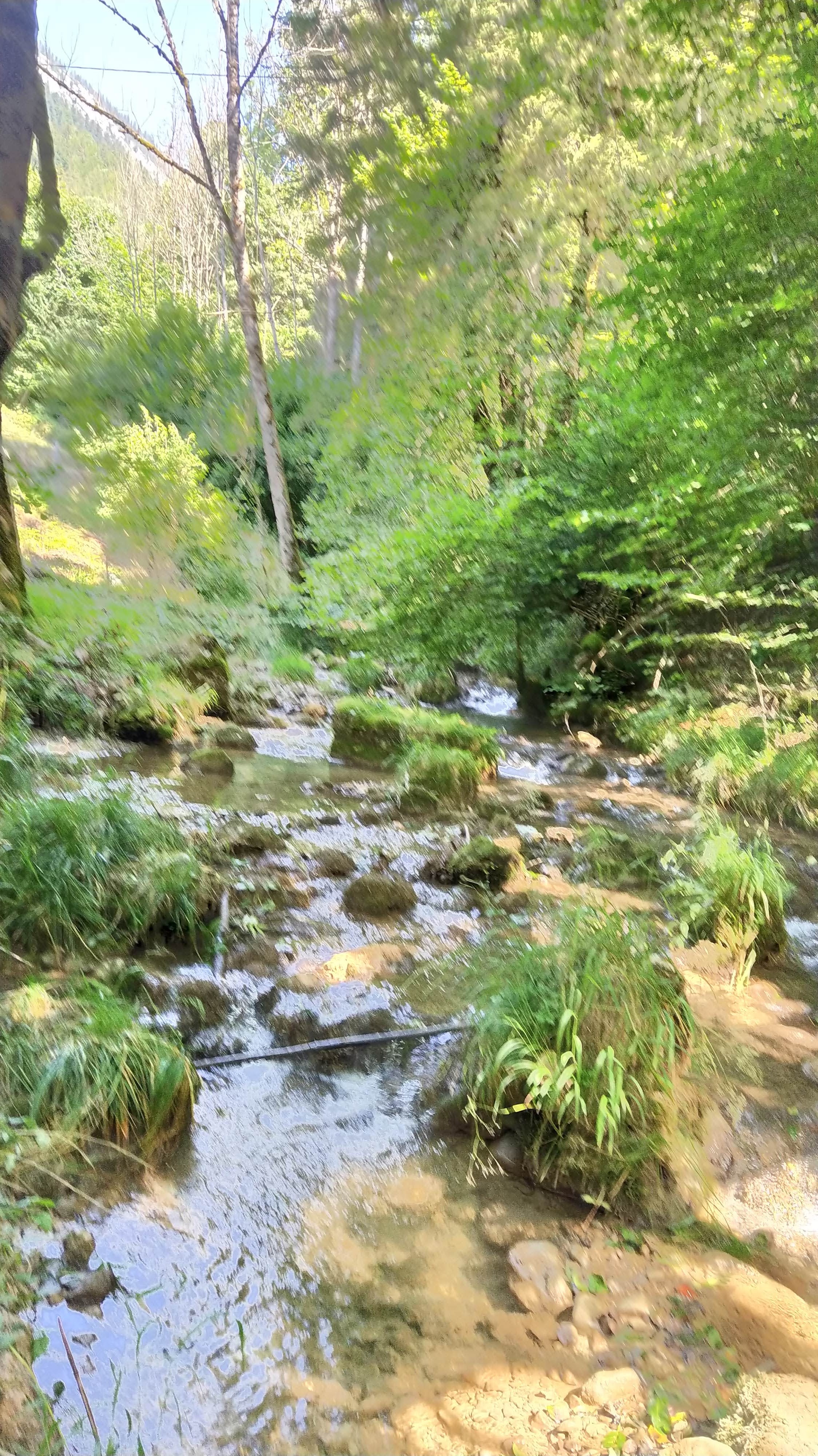 Photo n° 7 de l'avis de Mehdi.a fait le 24/08/2021 à 16:53