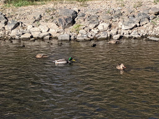 Park «South Platte Park and Carson Nature Center», reviews and photos, 3000 W Carson Dr, Littleton, CO 80120, USA