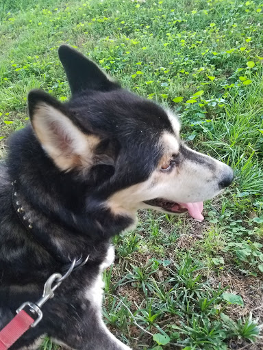 Recreation Center «Lewisburg City Recreation Center», reviews and photos, 1551 Mooresville Hwy, Lewisburg, TN 37091, USA