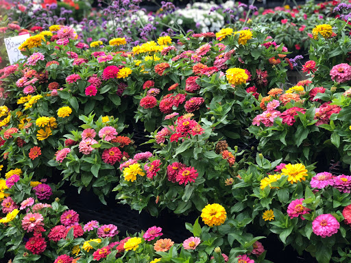 Florist «Yard Works», reviews and photos, 1309 Warwick Ave, Warwick, RI 02888, USA