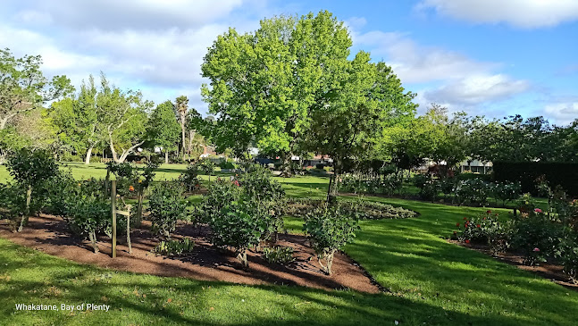 Rose gardens whakatane - Other