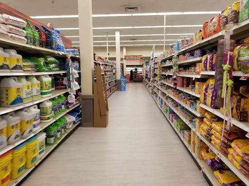 Supermarket «Big Y», reviews and photos, 1 E Silver St, Westfield, MA 01085, USA