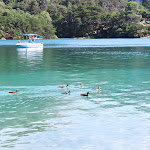 Photo n° 3 de l'avis de Paracycle. fait le 22/08/2023 à 09:17 pour La Perle du Verdon - Location de bateaux électriques - Lac d'Esparron à Esparron-de-Verdon