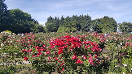 Rose Garden of QE Park