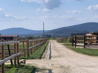 Écuries Ennéa à Marsanne