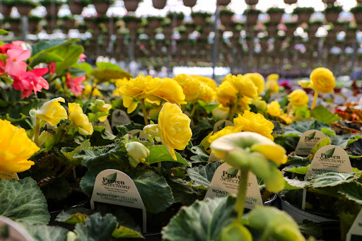 Plant Nursery «Blooming Acres», reviews and photos, 7561 State Rd, Wadsworth, OH 44281, USA