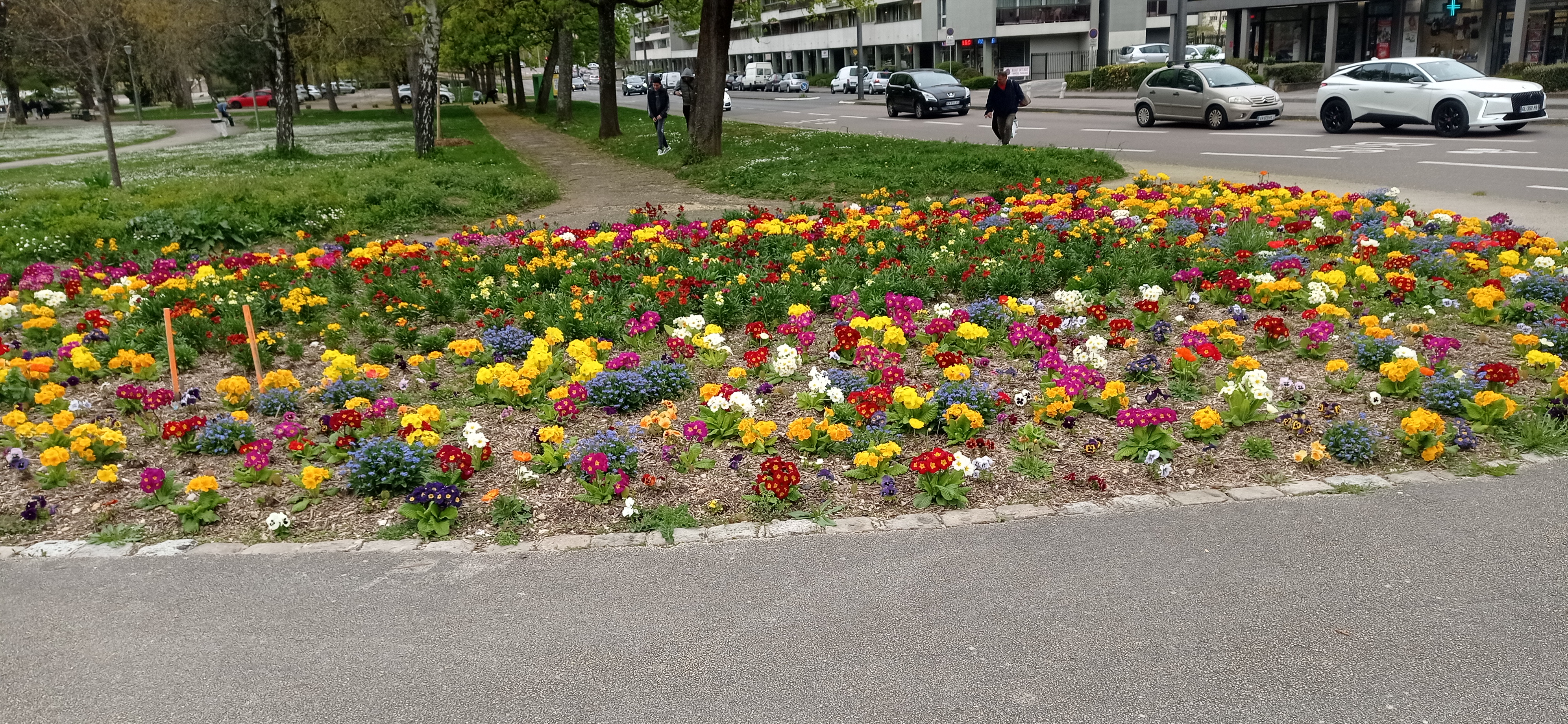 Photo n° 2 de l'avis de reza.a fait le 17/04/2023 à 10:51