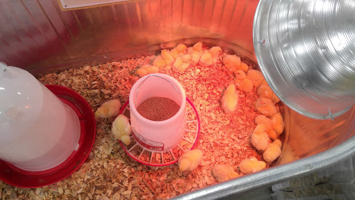 Home Improvement Store «Tractor Supply Co.», reviews and photos, 2475 Dr Martin Luther King Jr Pkwy, Chico, CA 95928, USA