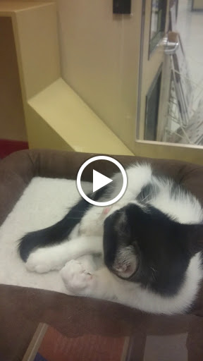 Pet Supply Store «PetSmart», reviews and photos, 79375 CA-111, La Quinta, CA 92253, USA