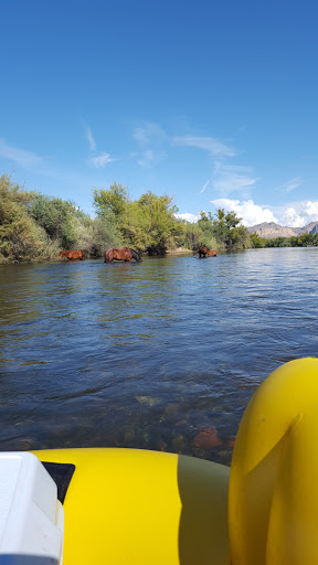 Tourist Attraction «Salt River Tubing», reviews and photos, 9200 N Bush Hwy, Mesa, AZ 85215, USA