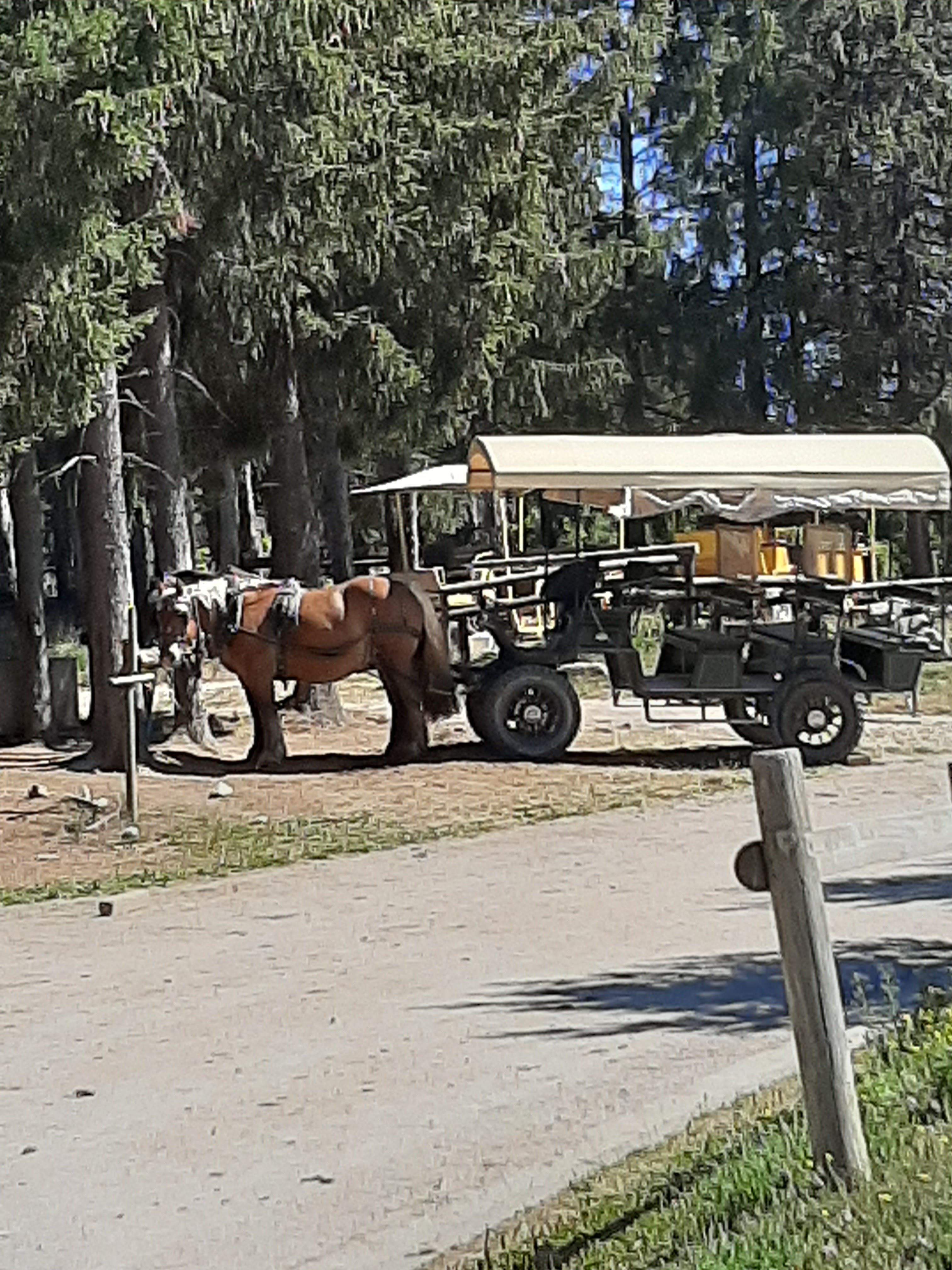 Photo n° 1 de l'avis de Benji.A fait le 27/07/2020 à 21:01