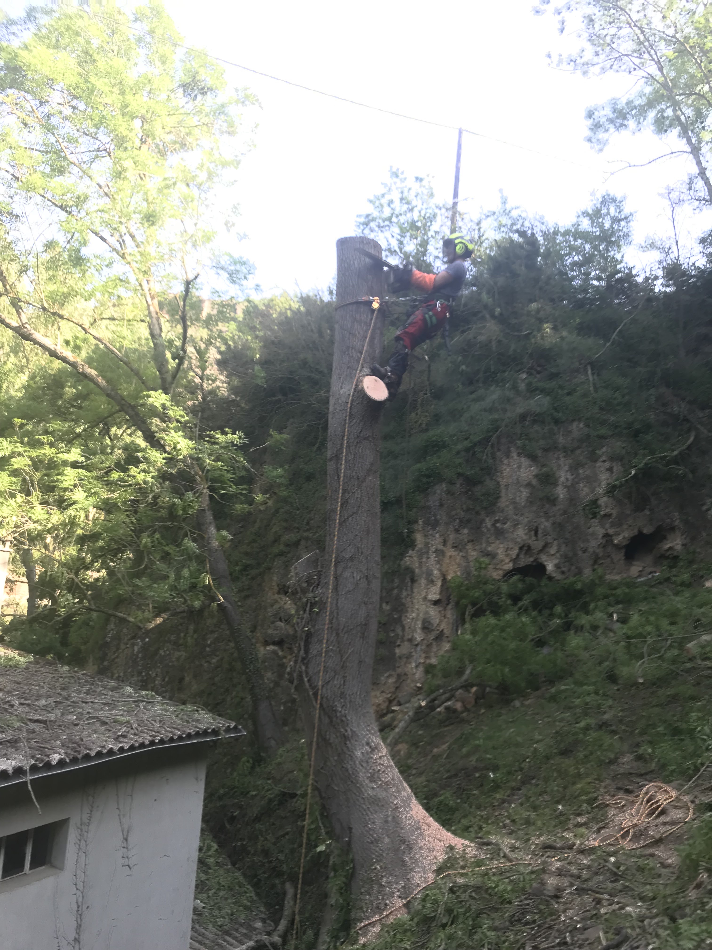 Photo n° 1 de l'avis de claude.i fait le 16/05/2022 à 18:44