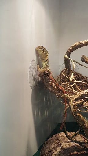 Pet Supply Store «Your Pet Experts», reviews and photos, 1665 State Hill Rd #490, Wyomissing, PA 19610, USA