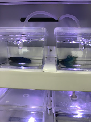 Pet Supply Store «IncrediPet», reviews and photos, 306 Southland Dr, Lexington, KY 40503, USA