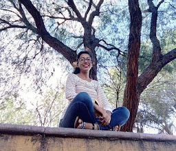 Glorieta Felipe Carrillo Puerto Park photo