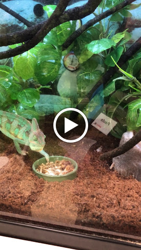 Pet Supply Store «Petco Animal Supplies», reviews and photos, 12641-310 Ocean Gateway, Ocean City, MD 21842, USA