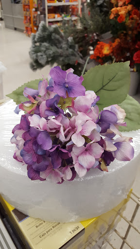 Craft Store «Michaels», reviews and photos, 7980 Wedgewood Ln N, Maple Grove, MN 55369, USA